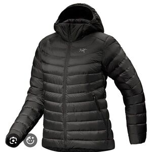 Arcteryx Cerium LT Hoody